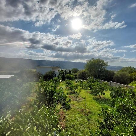 Guest House Xhaferaj Berat Bagian luar foto