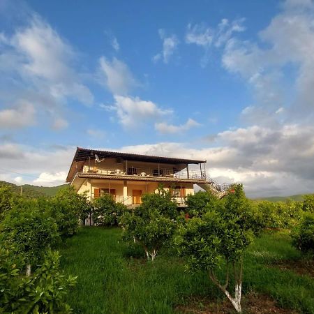 Guest House Xhaferaj Berat Bagian luar foto