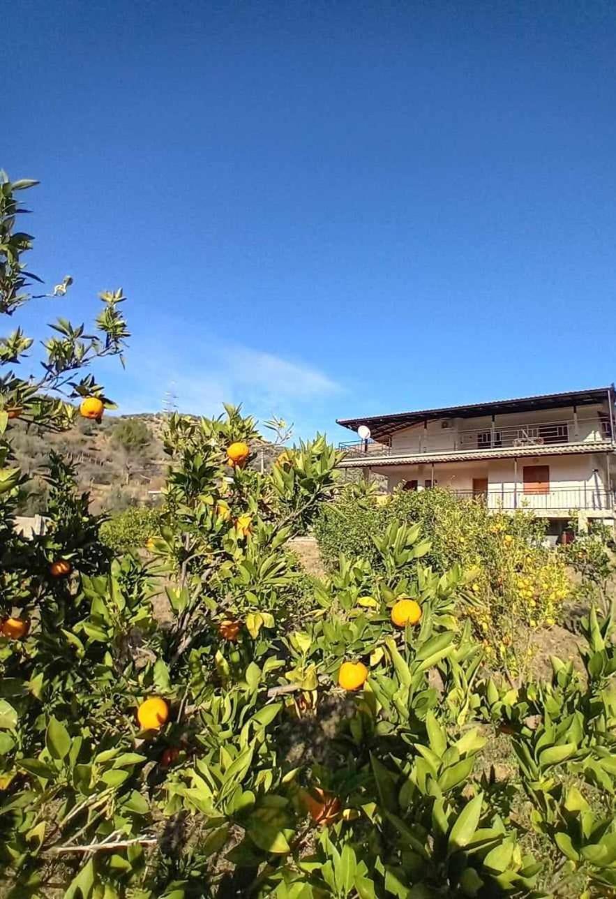 Guest House Xhaferaj Berat Bagian luar foto
