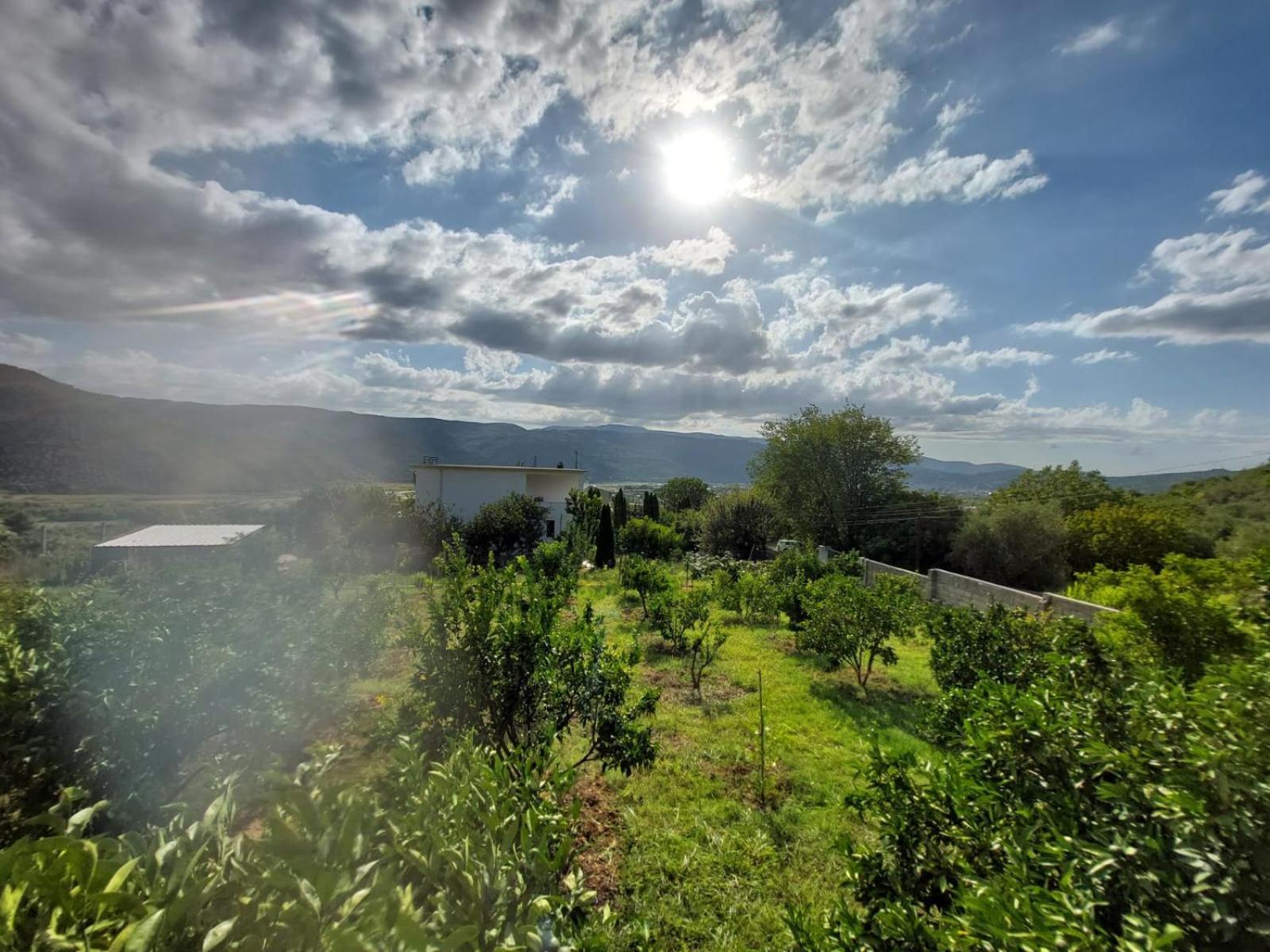 Guest House Xhaferaj Berat Bagian luar foto